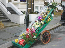 Alf's cart full of flowers 