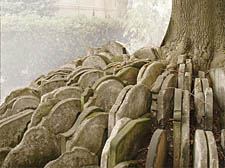 St Pancras Graveyard