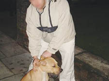 One of the dogs seized by police with its owner