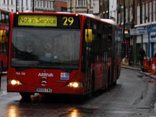 29 bus