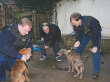 Police and RSPCA inspectors take control of two dogs at the Maygrove Road raid on Thursday