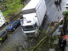 The scene in Lyndhurst Road after a lorry&rsquo;s collision with the tree