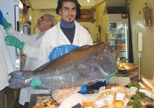 Paul Christodoulou and his father Andreas with the parrot fish.