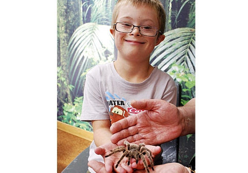 Nathan with the spider