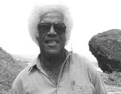 The Pleasure of Exile by George Lamming