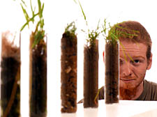 David Snoo Wilson with grass he has grown using soil taken from atrocity sites around the world