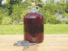 Sloe gin - well worth waiting for 