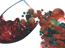 iIlustrations from the cover of The Wine Diet 