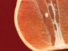 Grilled grapefruit