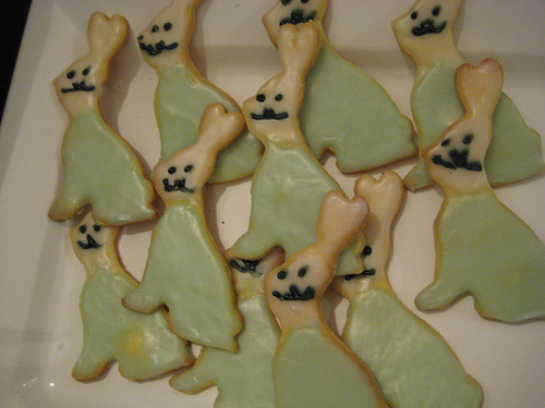 Funny Bunny Biscuits 