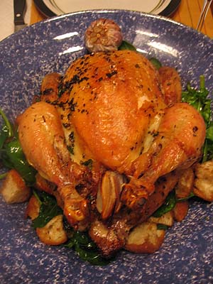 Roast chicken with black pudding stuffing and bread sauce