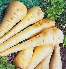 Parsnip Casserole