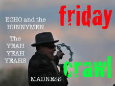 Madness, Echo and the Bunnymen and the Yeah Yeah Yeahs on Friday