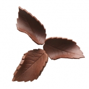 Chocolate leaves