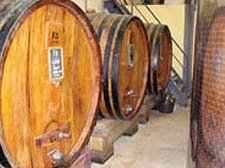 Vineyards 