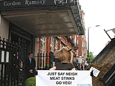 Peta activists protesting outside Gordon Ramsey's Mayfair restaurant 