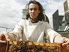 Beekeeper Steve Benbow tends to Fortnum and Mason’s as yet not-so-busy bees 