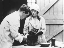 Historic photo of vets caring for a cat at the Blue Cross animal hospital in Hugh Street. The service started in 1907, but is now struggling due to the economic crisis.