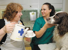 Pam Ferris serves up a cuppa as Blue Cross vet nurse Laura Poole and Benji the dog look on.