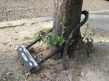 Cyclists call for get-tough policy after  spate of thefts