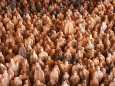 Antony Gormley’s terracotta army at Earth: Art of a changing world
