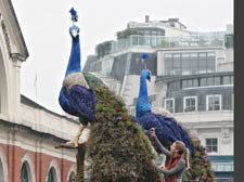 The unusual addition of a pair of 25ft peacocks - by the New York- based floral designer Preston Bailey 